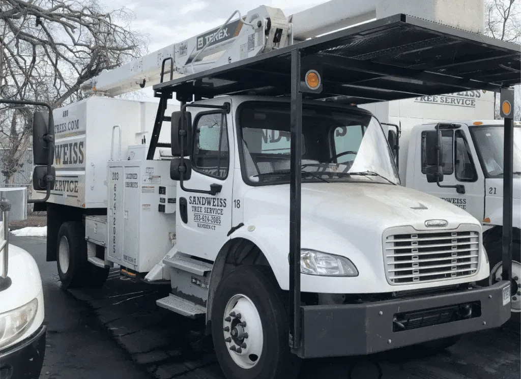 Sandweiss Tree Service, Inc. work site