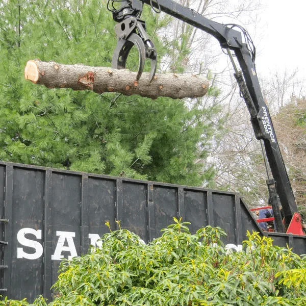 Sandweiss Tree Service, Inc. gallery 3